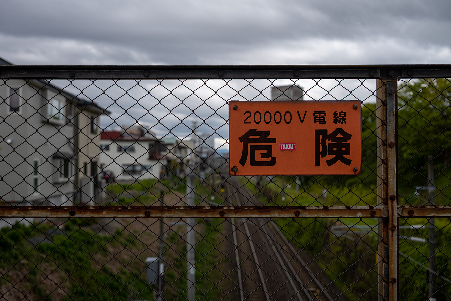 LeicaM10ブログ写真