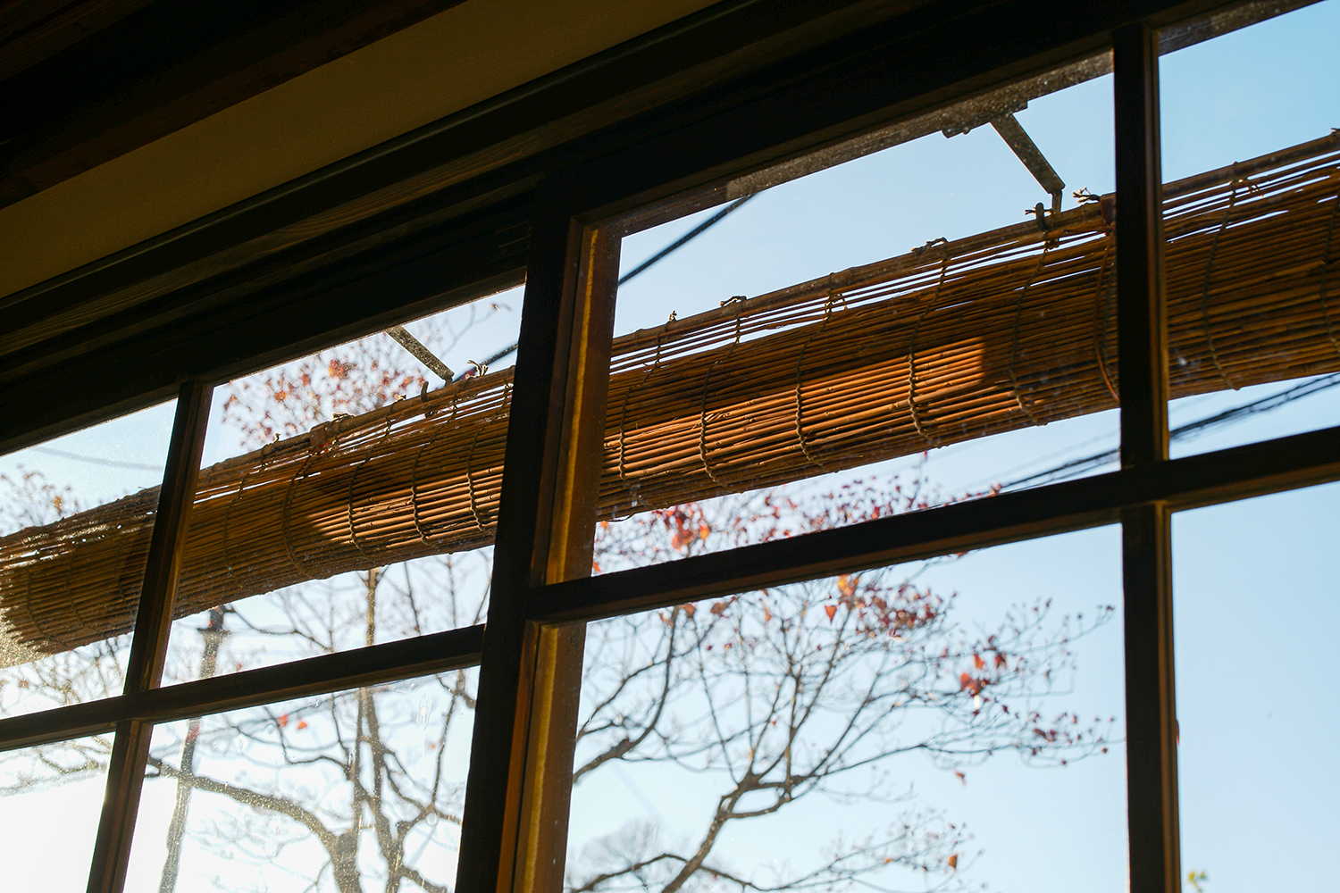 厩宿の木材の梁と柔らかな自然光 — Leica M10で捉えた店内