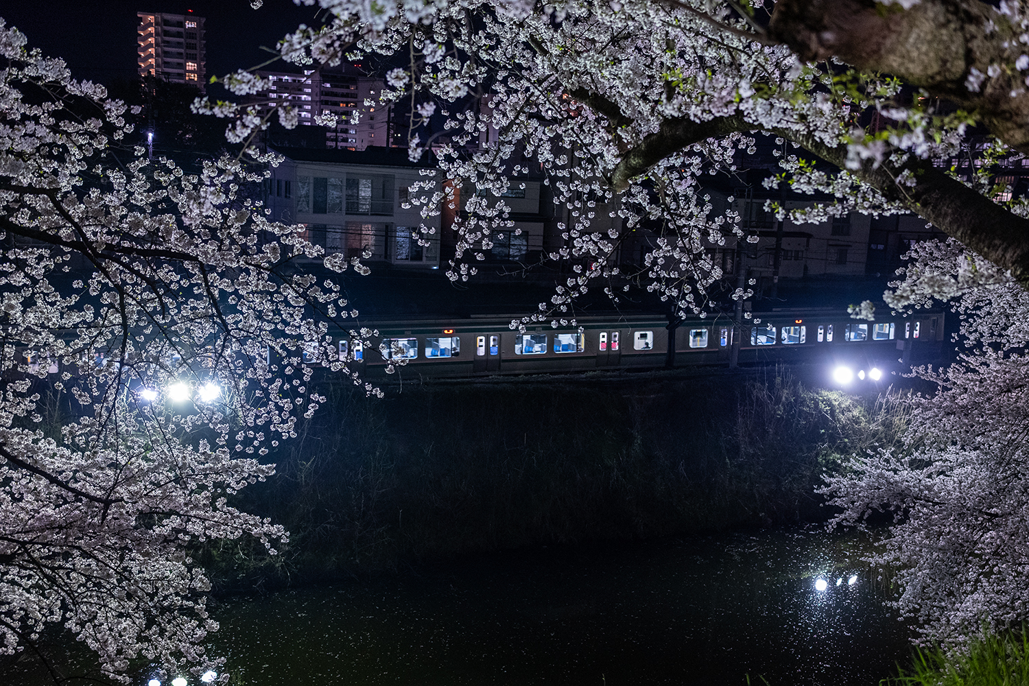 SIGMA 35mm F2 DG DN 作例 夜景スナップ