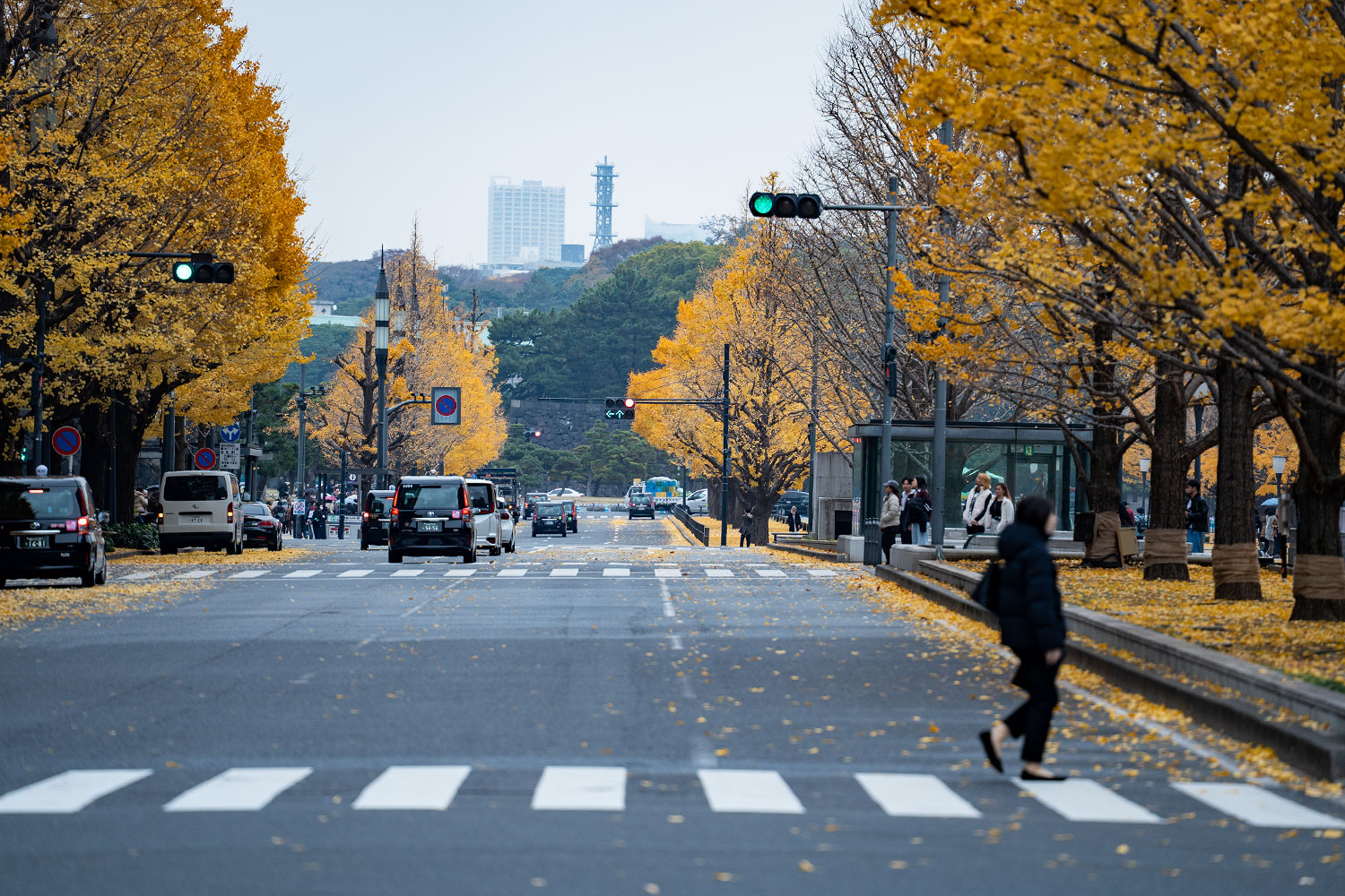 東京駅周辺を望遠で撮影した風景