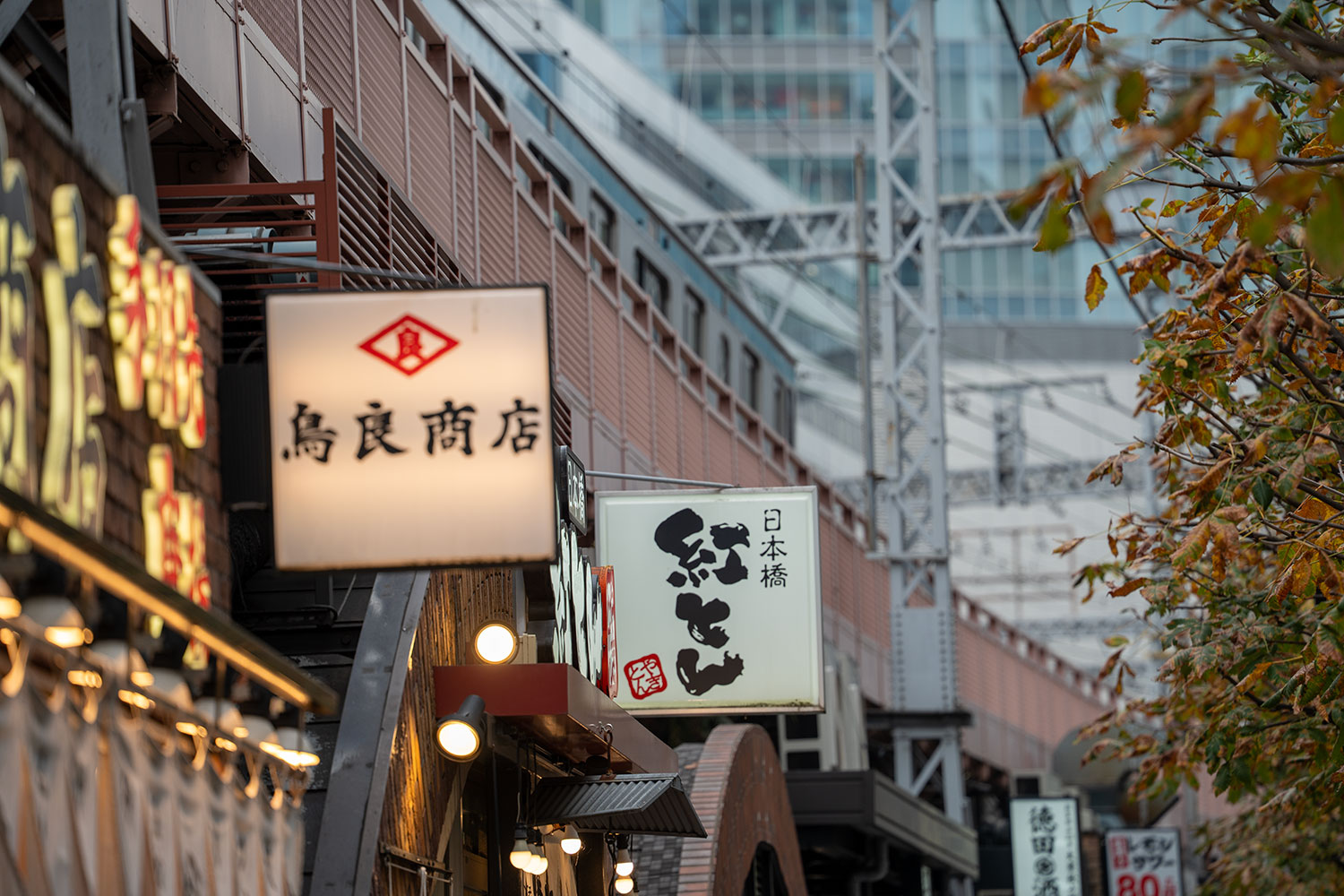 新橋付近を走る山手線の望遠カット