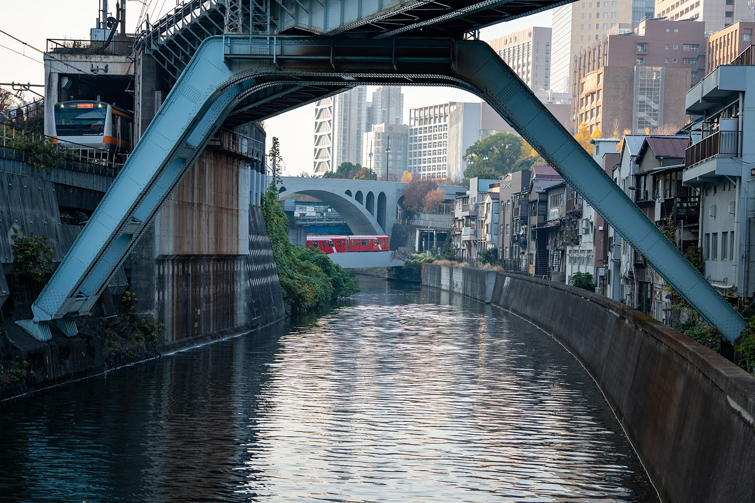 神田川周辺の電車撮影