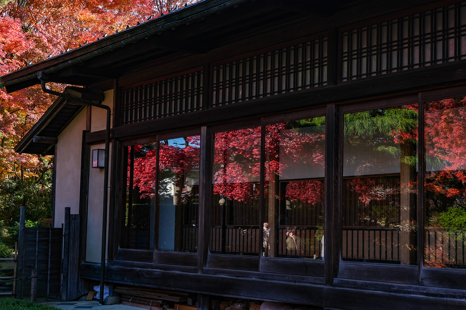 GFX100RVで紅葉撮影