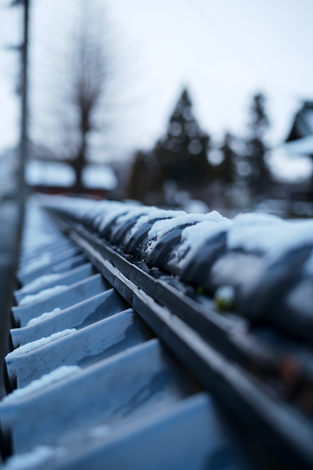 summilux50f1.4作例